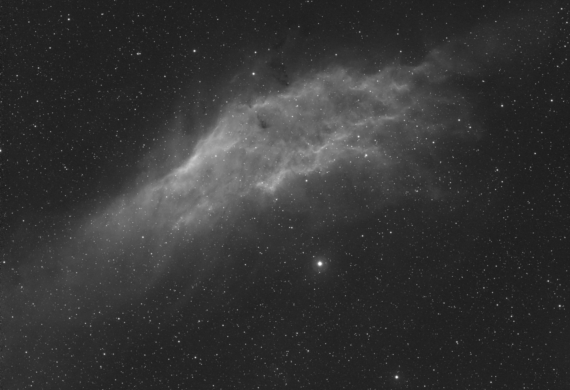 NGC1499__101x60_Halpha.thumb.jpg.b910df4eb3ae98e33039ab3f9ac74bb1.jpg
