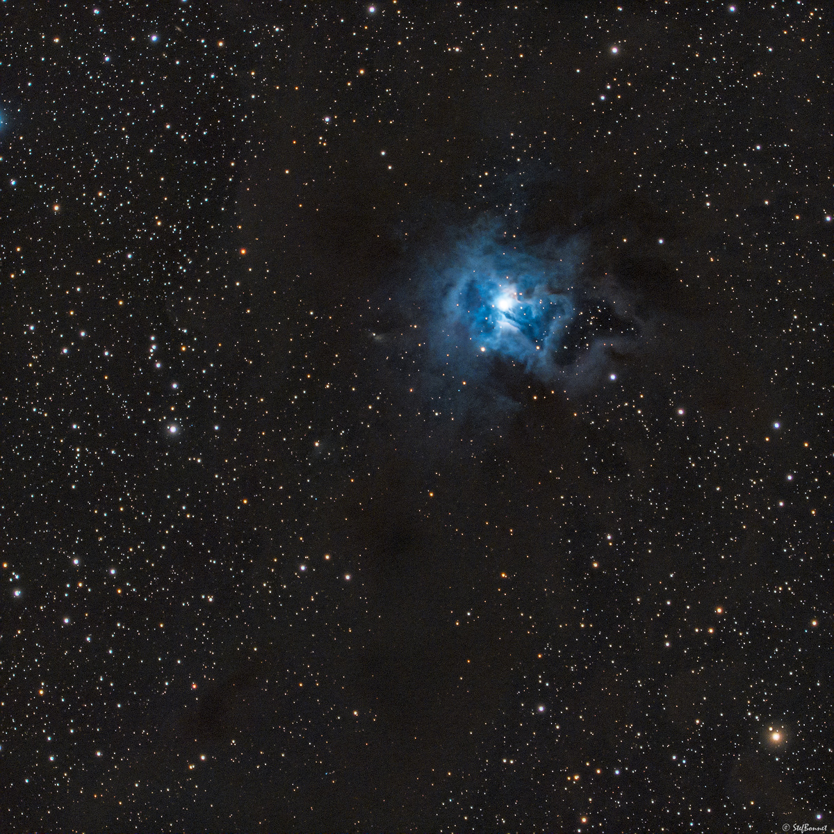 63395303dd71c_NGC7023Iris-Web.jpg.dd65a195134adc42cd0c735ae3917ba6.jpg