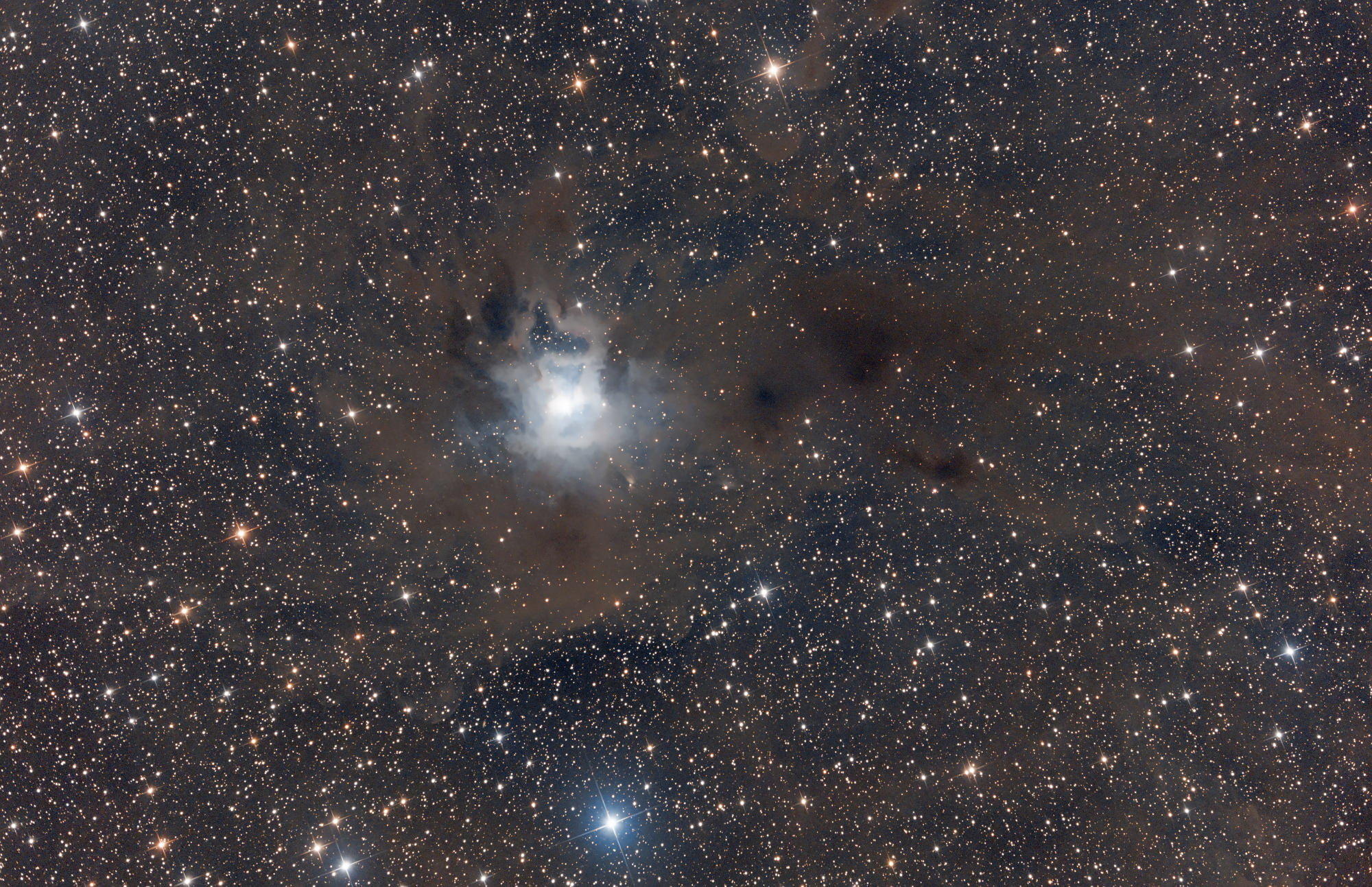 NGC_7023_l_pro.thumb.jpg.05d64fbd33c820184ef2f5b6aa8b1a78.jpg