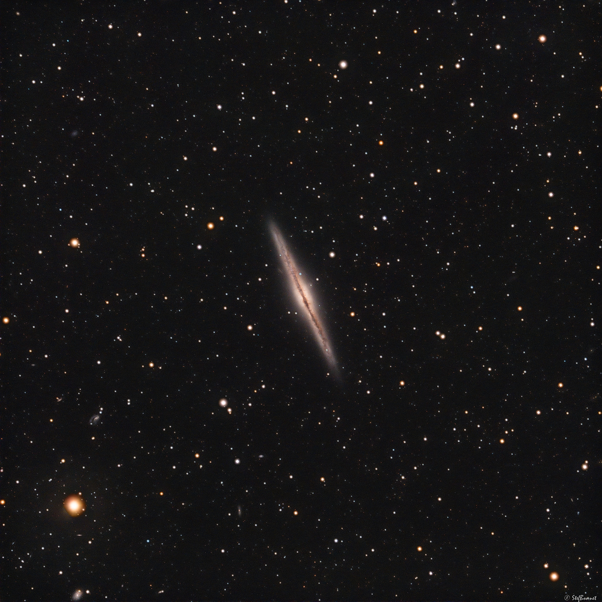 638a64a02200d_NGC891-Web.jpg.fe60844c54e6a750c34e1a326cc991cb.jpg