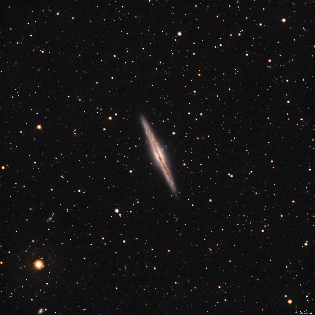 638b8db10cf7b_NGC891-Web2.jpg.cbc9c794e48c227a921355234c853b70.jpg