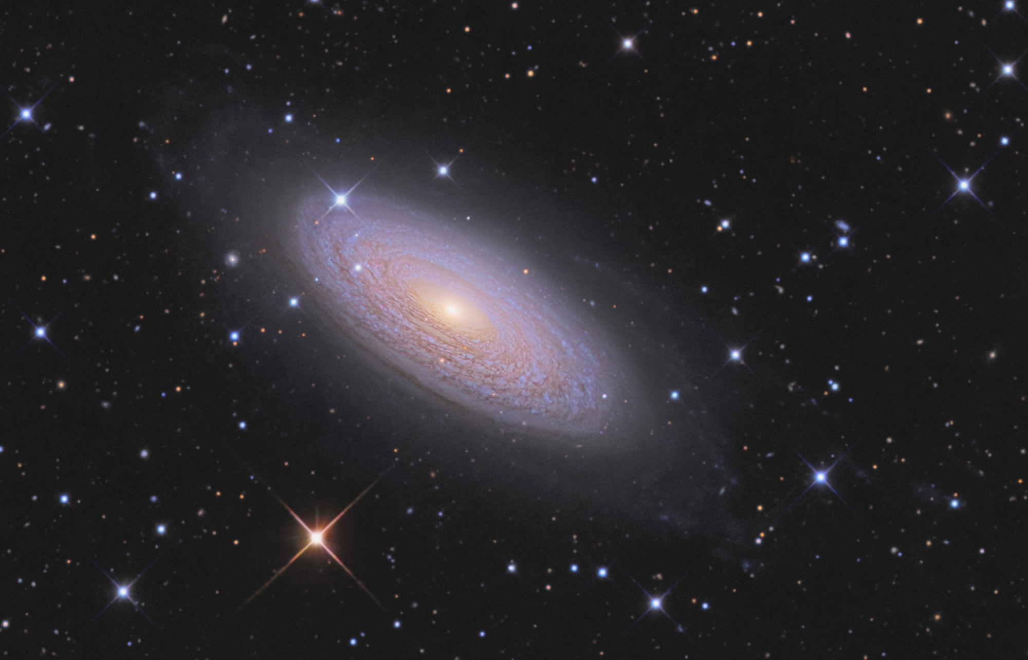 64664dd0dec3a_NGC-2841-Final5crop.thumb.jpg.02a40a3e09527534e9d56a40a50df29b.jpg