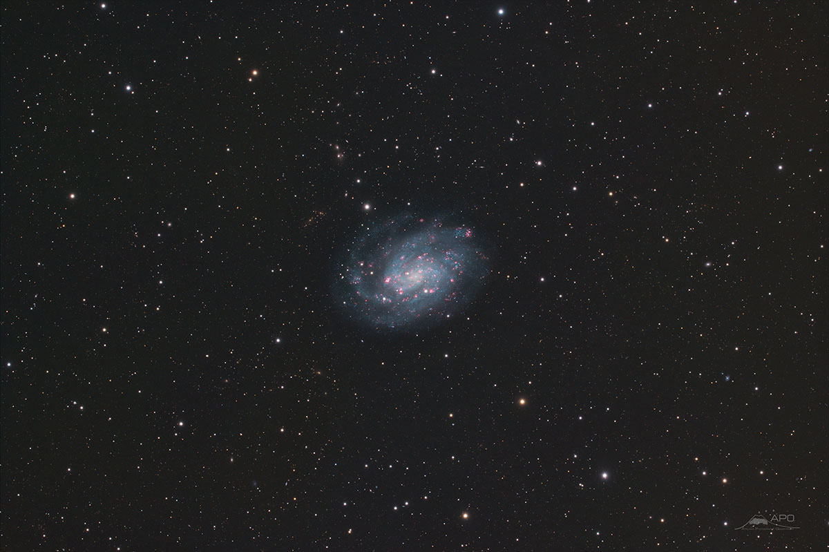 0234_NGC300_g.jpg.88daf9432e487b7e42da2ced3cb83eb3.jpg