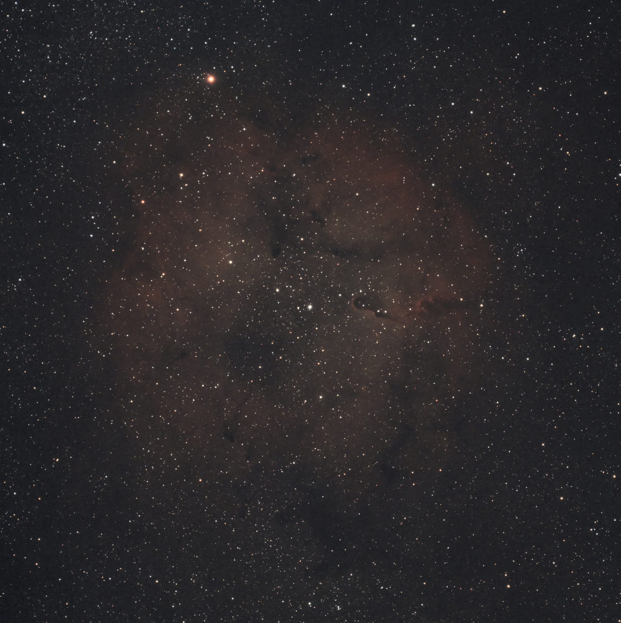 IC1396.jpg