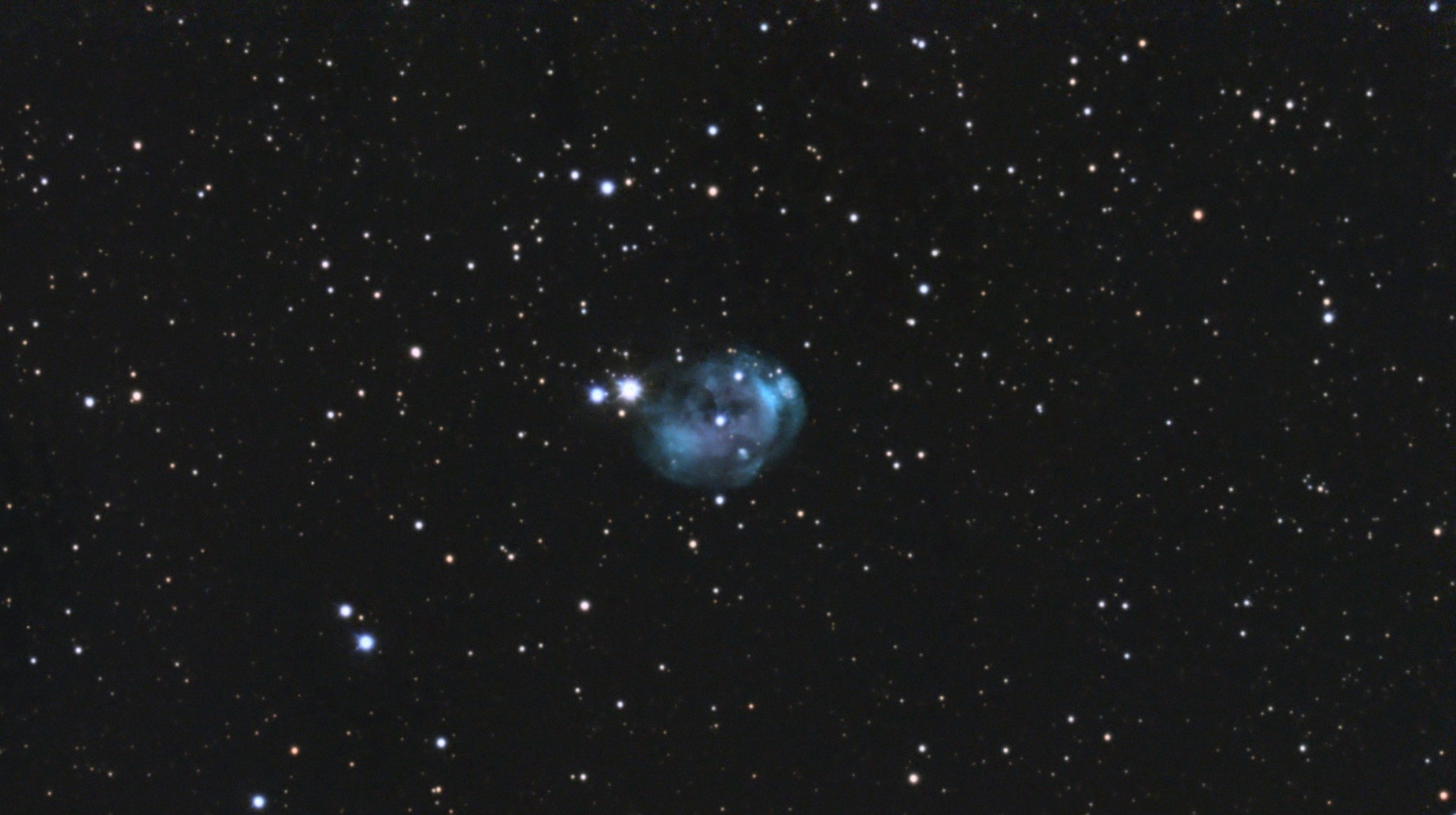 6513cc55d61f7_NGC7008-Meade-neptune464_RGB--Siril-pix-finale.jpg.6925f3584e8d96641bcbc337e9fcb6b9.jpg
