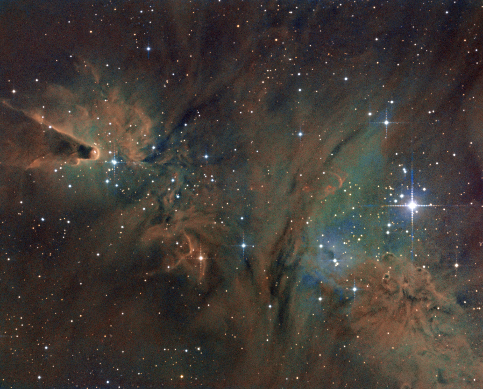 NGC2264-2023.jpg