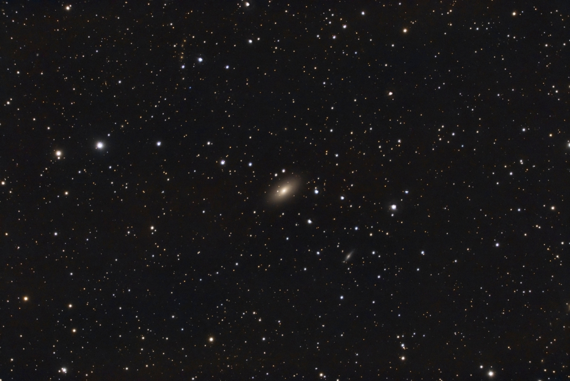 NGC7457_C8_artemis_294c_RGB_V3_Siril-Pix-PS-finale.thumb.jpg.d6794314e111afbf43e332d0d7424f9f.jpg