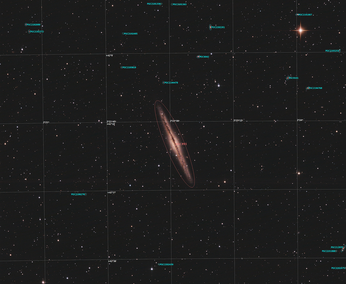 655b55113d68a_NGC891annotee.jpg.a927bb5906aaced3c64e765637d17da3.jpg