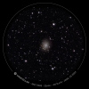 1-Ciel profond 2024-01-25 - eVscope_GAL_NGC0185_oculaire.jpg