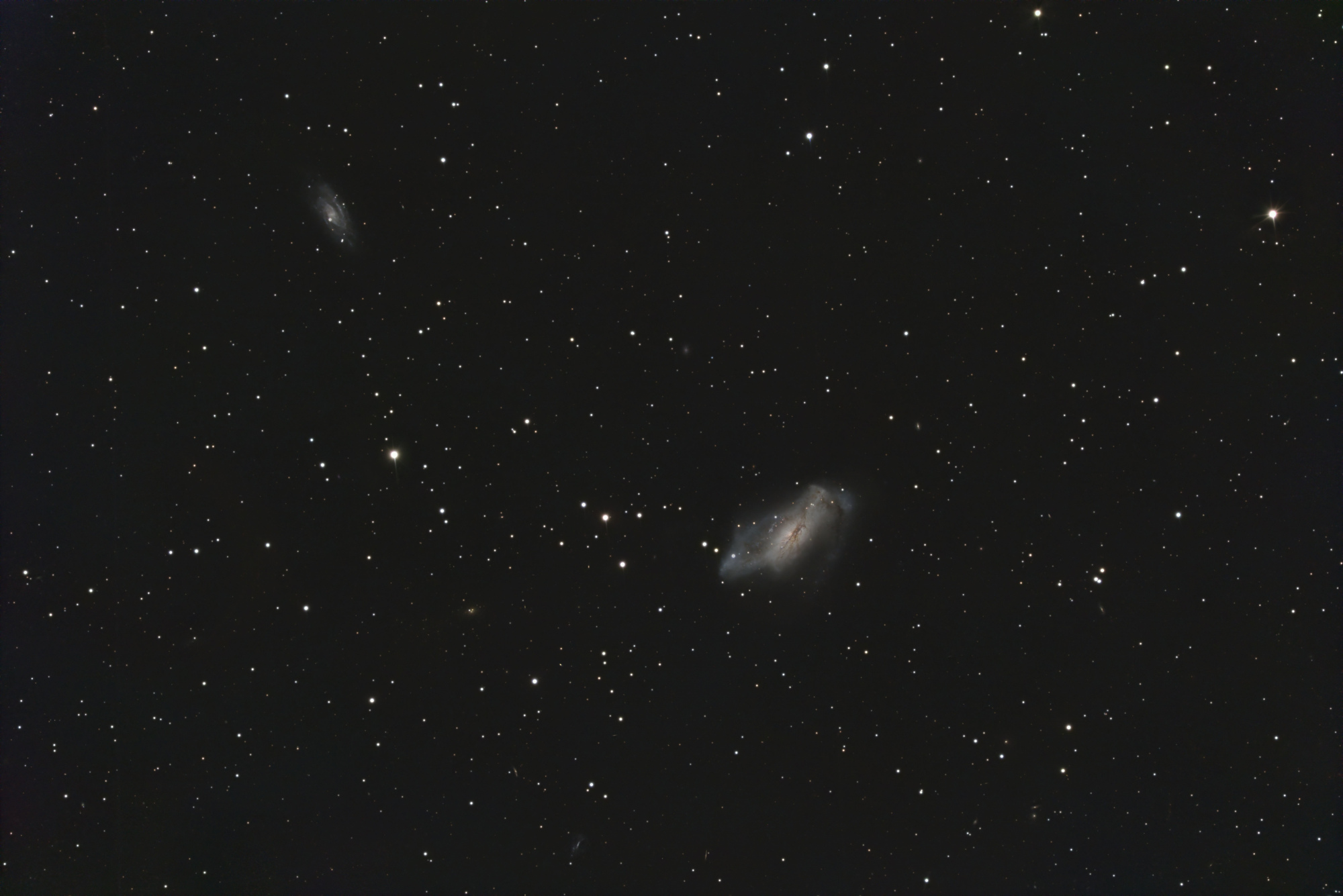 NGC2146.jpg
