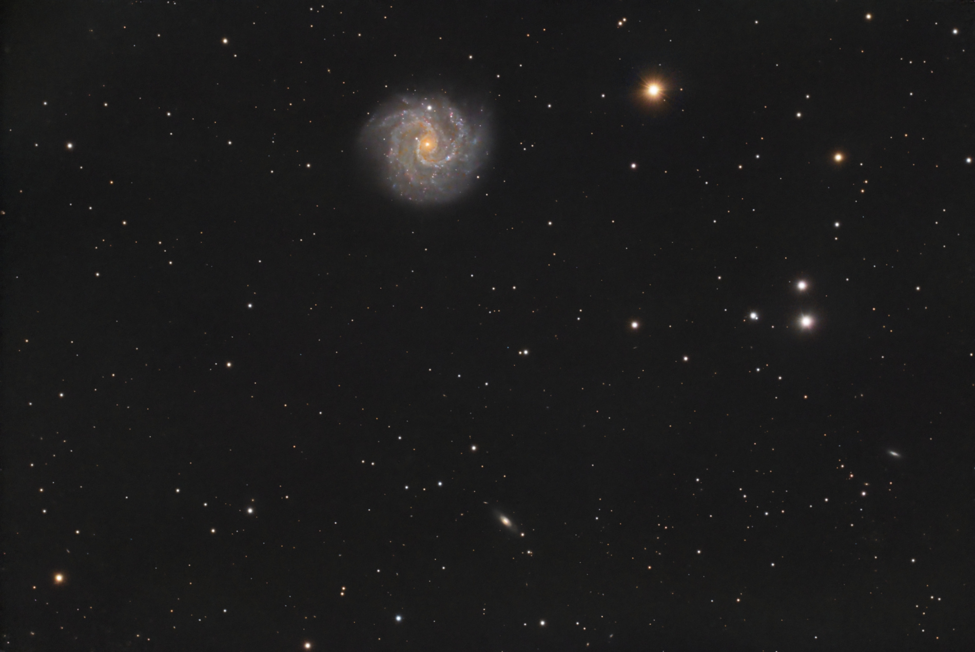 NGC3184-C8-Lquad_RGB-finale.thumb.jpg.accda5884181b890377289dfc447b1ec.jpg