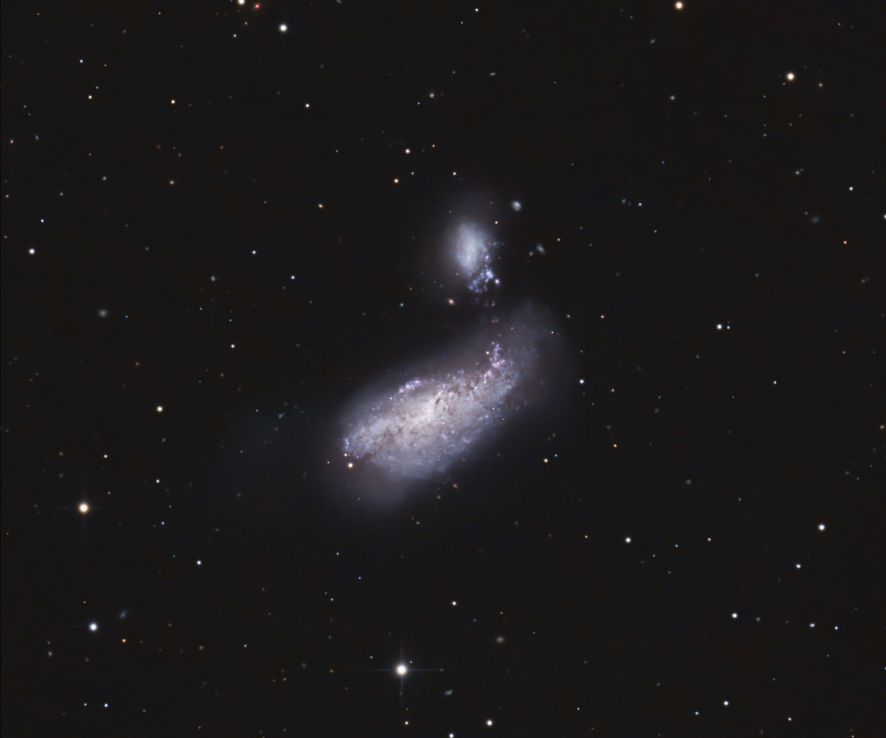 NGC4490_Antlia-L_FinPix_Crop_NGC4490_Coul2_BXT_NXT.jpg.8698e8a84df47dc4b992f650e28daf60.jpg