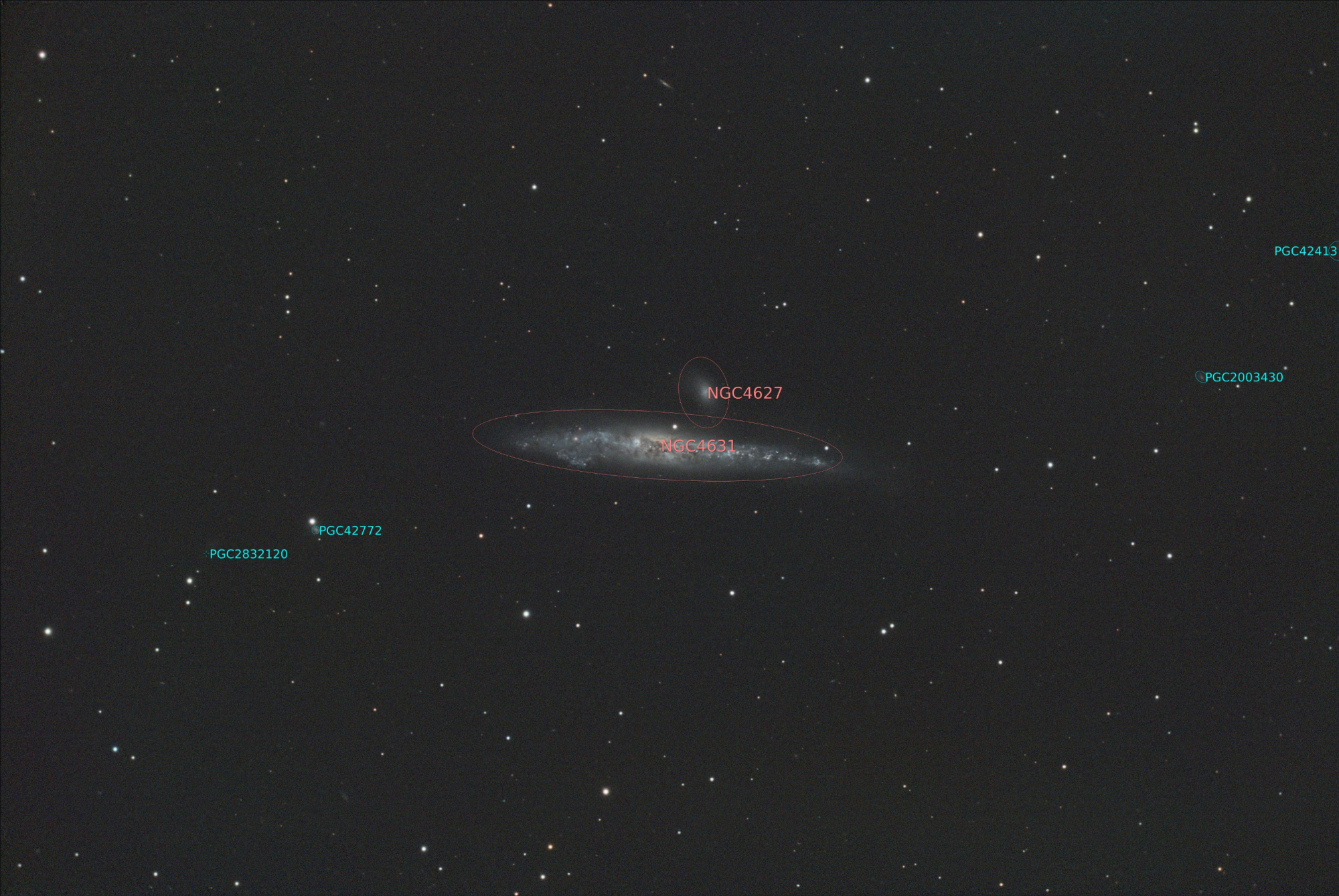 NGC4631-C8-Lquad_RGB-finale-annotated.thumb.jpg.a80b8805bb1546b6498e8119aee65367.jpg