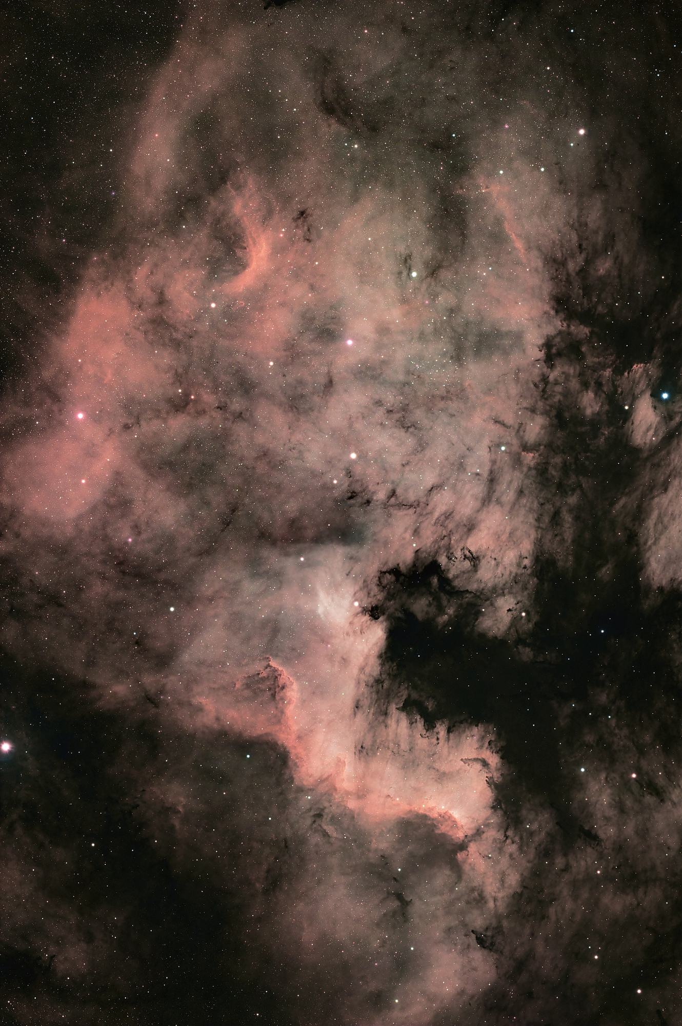 NGC7000 fb.jpg