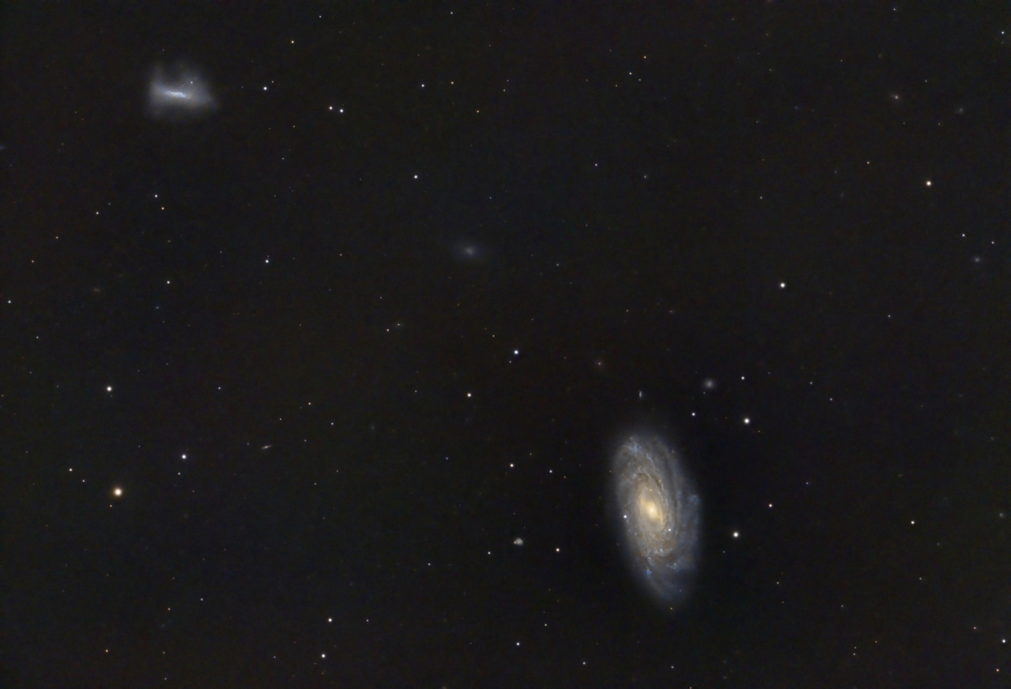 NGC3953-C8-ircut_RGB-finale.thumb.jpg.15c88e303df1938e9964d31df387119c.jpg