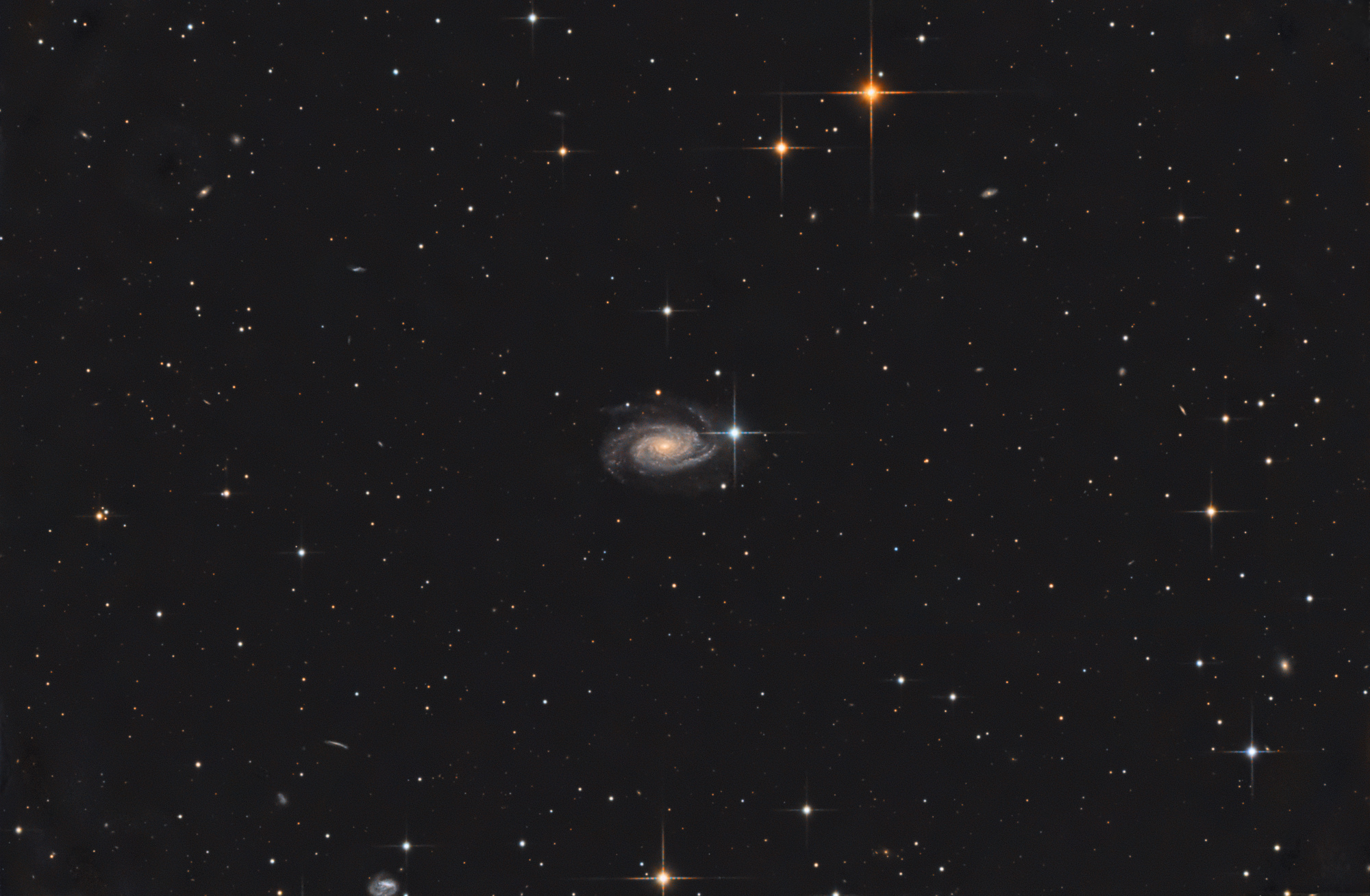 NGC3338.jpg