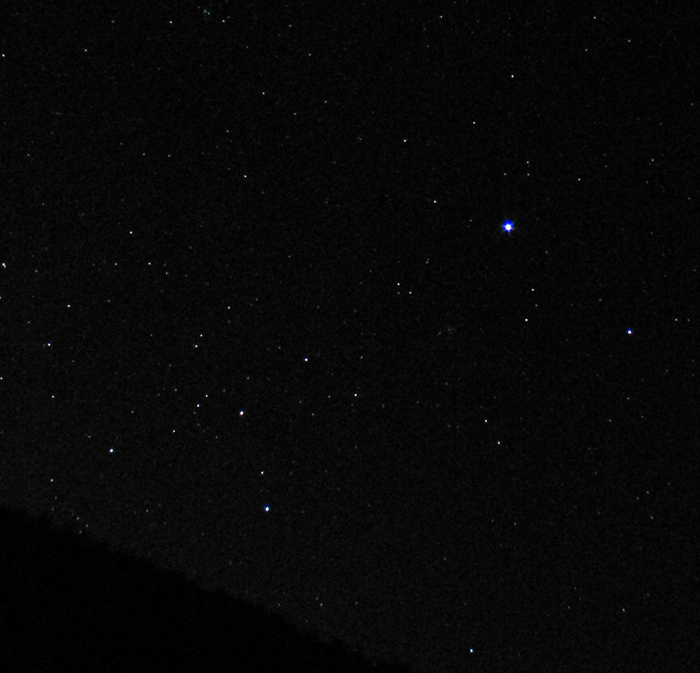 Constellation du Grand Chien - Canis Majoris (Big Dog)