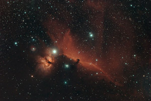 Horse nebula